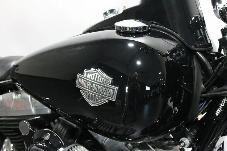 Harley-Davidson FLS Image 3